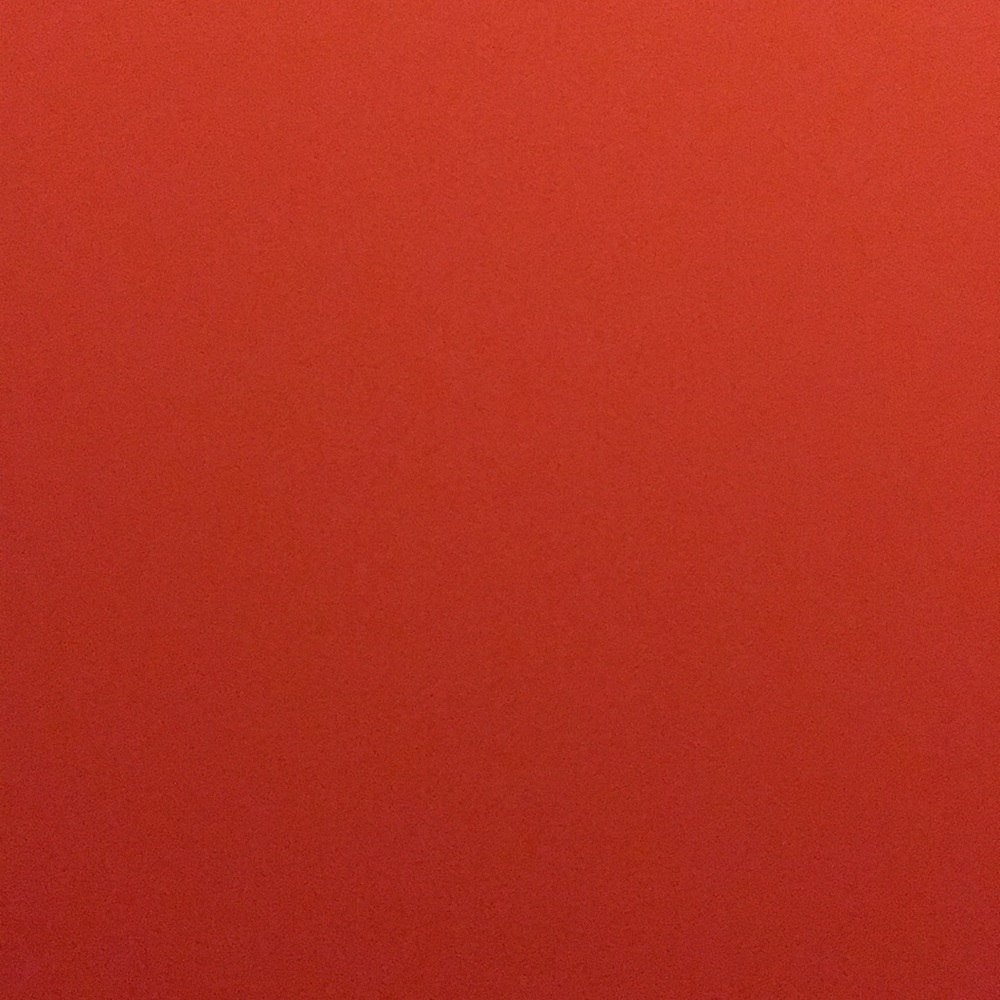 Meet your Posher, Ellie